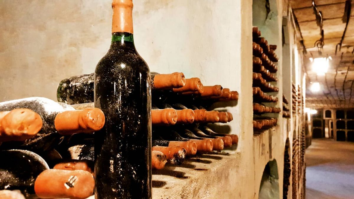 O vinărie din Moldova scoate la licitație două sticle de vin. Banii vor fi donați pentru reconstrucția clădirii Filarmonicii Naționale
