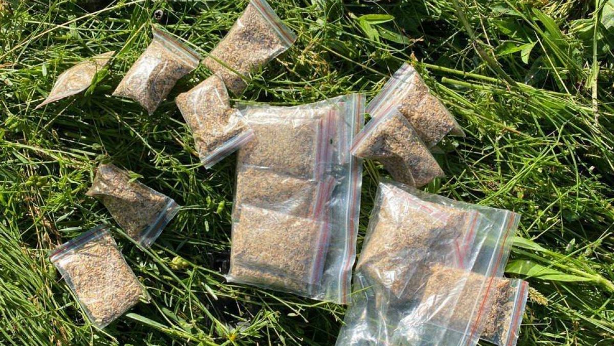 Ofiețrii INSP verificau dacă nu există risc de explozie, dar au găsit 23 de pliculețe cu masă vegetală măcinată