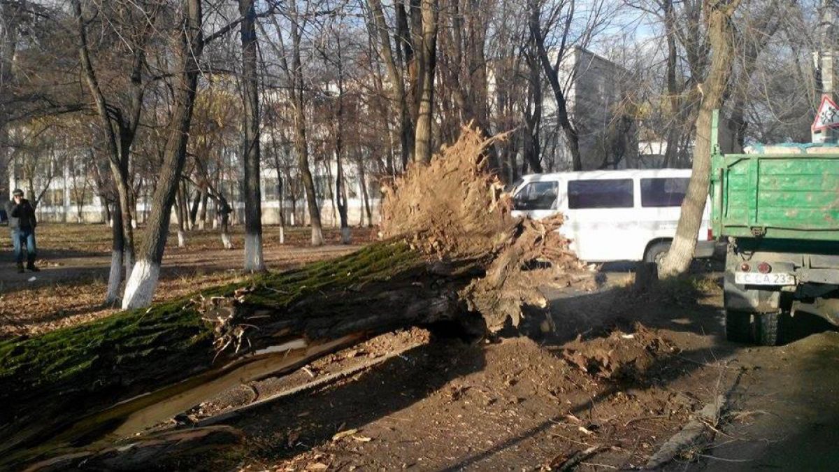 Pagube produse de furtuna de aseară: Aproape 30 de localități rămân fără energie electrică