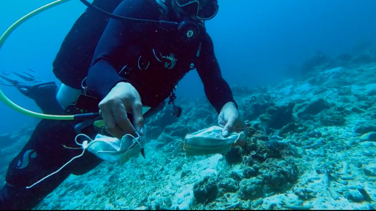 Pandemia se răsfrânge asupra ecologiei apelor: Recifele de corali din Filipine, acoperite cu măști de protecție (VIDEO)