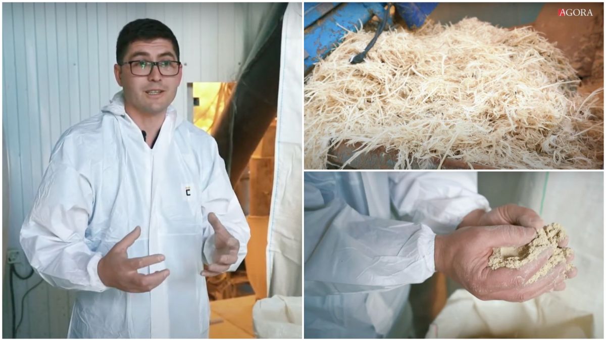 Penele de pasăre, transformate în concentrat proteic la Strășeni. Antreprenor: „Este mai eficient decât făina de pește” (VIDEO)