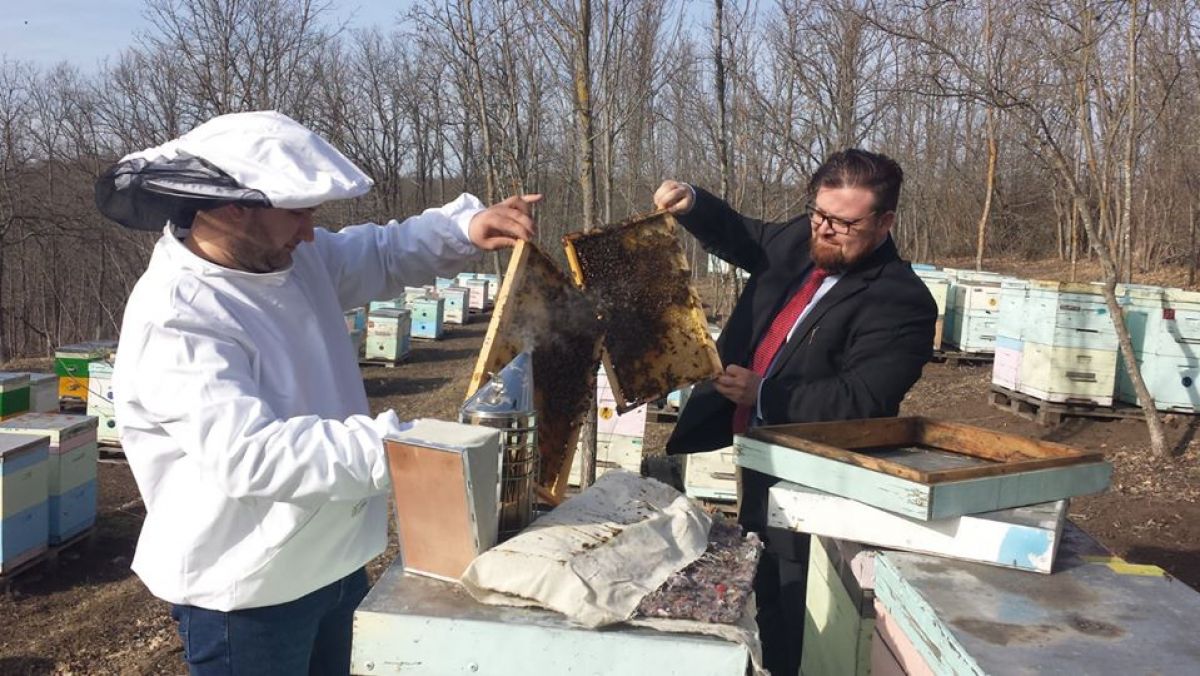 Plantele care produc nectar vor avea o hartă proprie în Moldova. Agenția Moldsilva va fi dotată cu drone speciale pentru a monitoriza terenurile