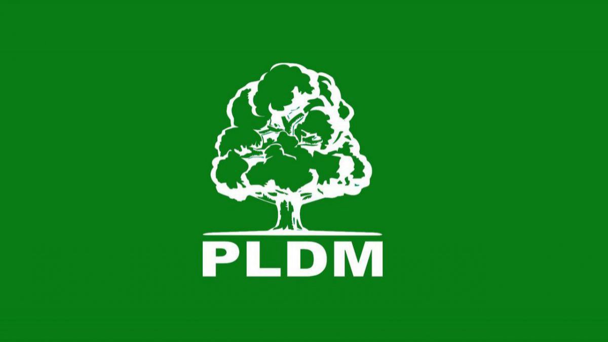PLDM-ul convoacă în această duminică Consiliul Politic Național