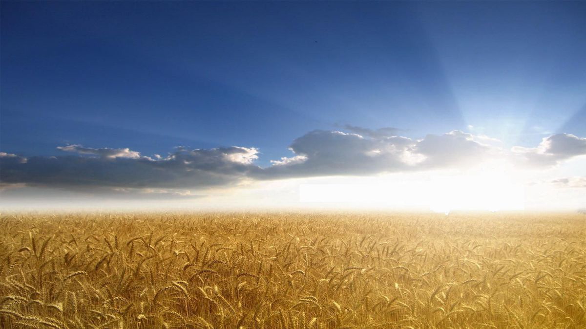 Ploi de scurtă durată. Prognoza meteo pentru următoarele zile