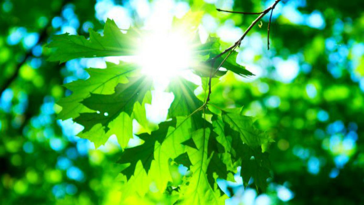 Ploi de scurtă durată și temperaturi de vară. Care este prognoza meteo pentru următoarele zile