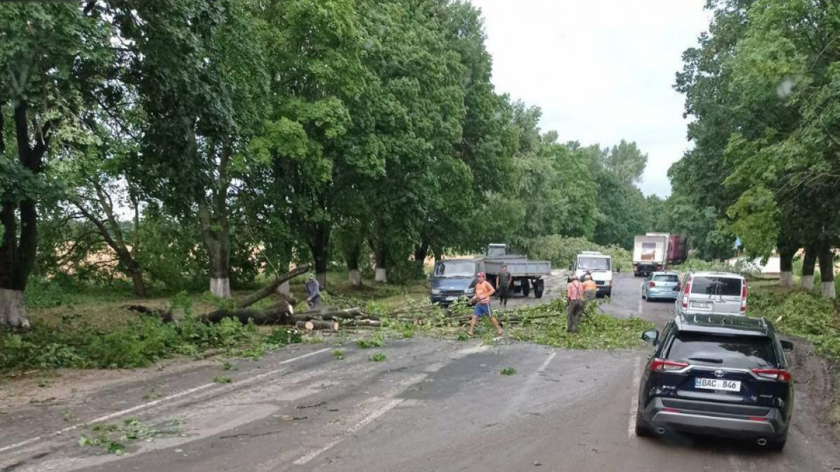 Ploile afectează nordul țării: Drumuri, blocate de copacii doborâți de vântul puternic