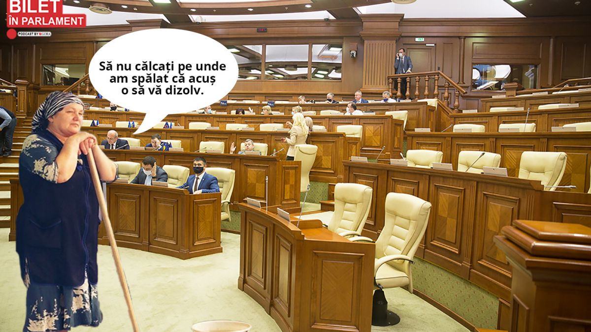 Podcastul „Bilet în Parlament”: Cu spirt, solvenți sau diluanți? În ce ape politice se poate autodizolva Parlamentul moldovenesc? (AUDIO)