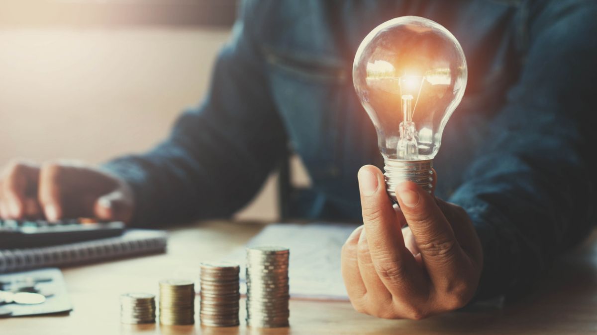 Populația țării ar urma să fie scutită de plata pentru lumină pentru două luni. Deputat: Un fel de „furați, dar ne dați și nouă”