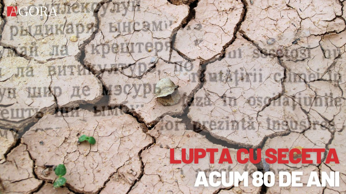 PORȚIA de istorie: De ce în URSS Moldova era considerată „grădină înfloritoare”, cum era văzută problema secetei acum 80 de ani și ce soluții erau propuse