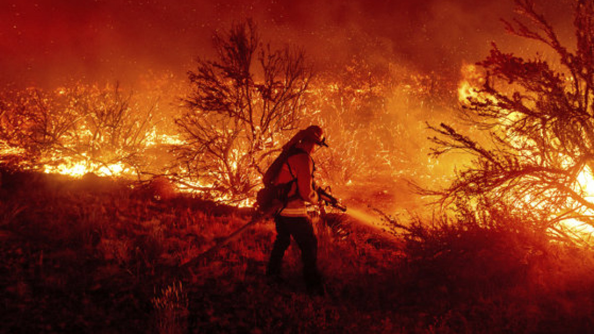 Portugalia luptă cu incendiile de vegetație: 400 de salvatori, antrenați în stingere