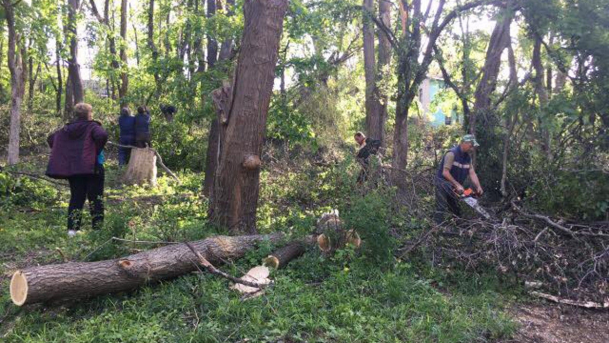 Primăria Chișinău deschide anchetă internă, după tragedia din parcul Alunelul: Acuză Agenția Mediului că n-ar fi dat suficiente permisiuni pentru defrișări
