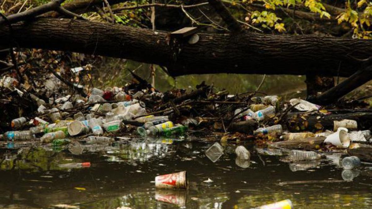 Problemele de mediu vor putea fi raportate printr-un singur click. A fost lansată platforma națională „ECO ALERT”