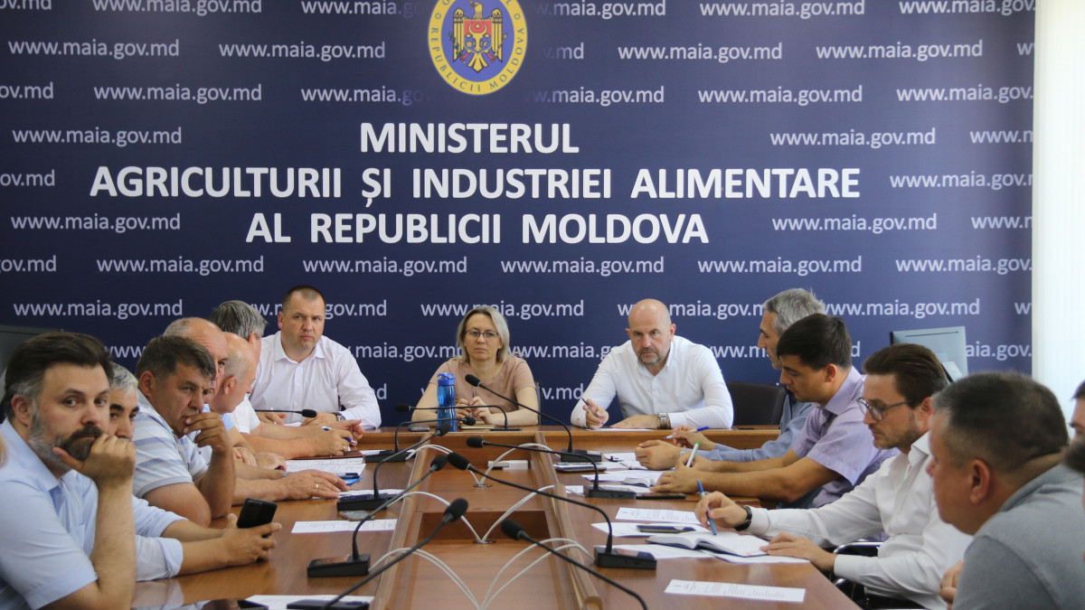 Producătorii și procesatorii sfeclei de zahăr, la sfat cu autoritățile. Majorarea prețului la gazele naturale, printre probleme menționate