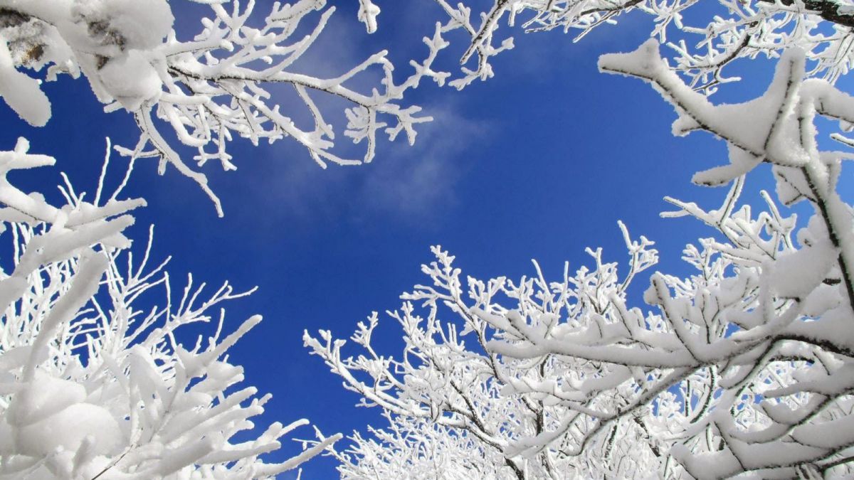 Prognoza meteo pentru următoarele zile. Temperaturi scăzute și ninsori