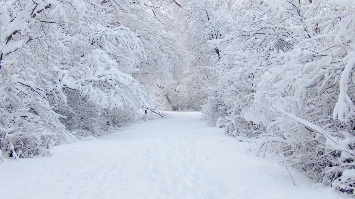 Prognoza meteo pentru următoarele zile. Temperaturile scăzute se vor menține