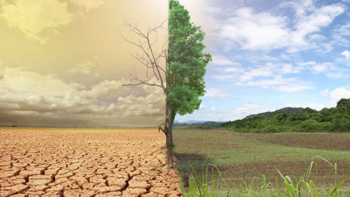 Project Syndicate: Schimbările climaterice influențează sănătatea umană