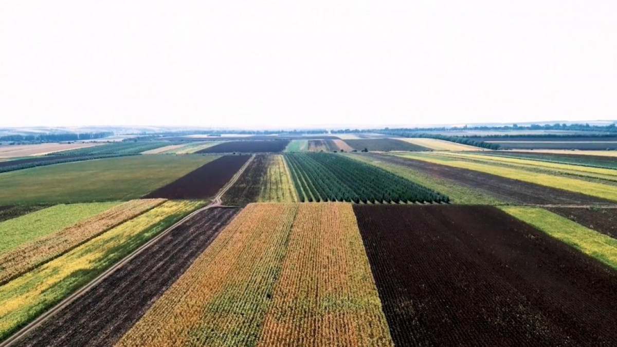 Proprietarii de terenuri agricole pot depune cereri pentru subvenții în avans. Iată pachetul de documente