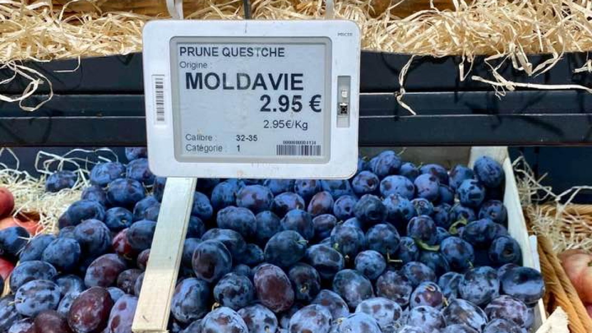 Prunele moldovenești, pe piața europeană. Ministrul Agriculturii: Exportam de două ori mai mult decât cota noastră