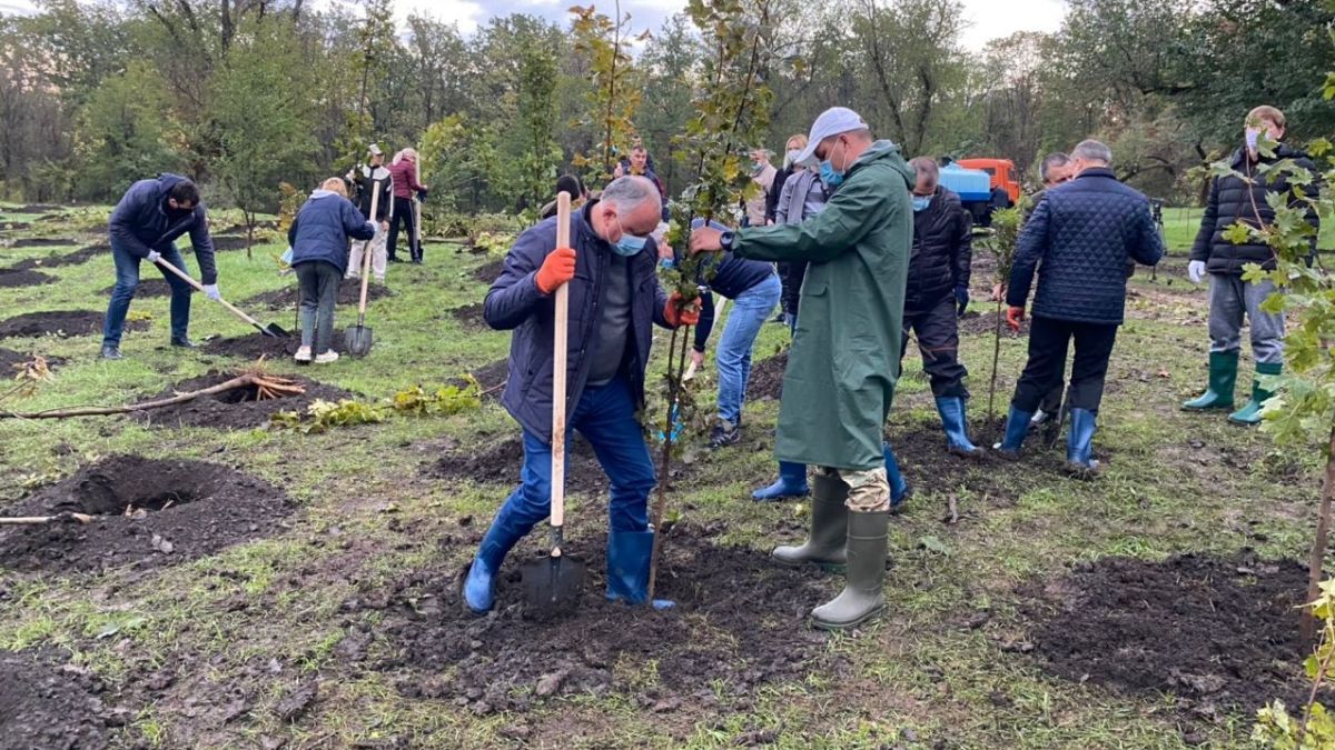 PUN cere sancționarea lui Igor Dodon după ce acesta a plantat copaci alături de Ion Ceban. Ar fi folosit resurse administrative în campania electorală