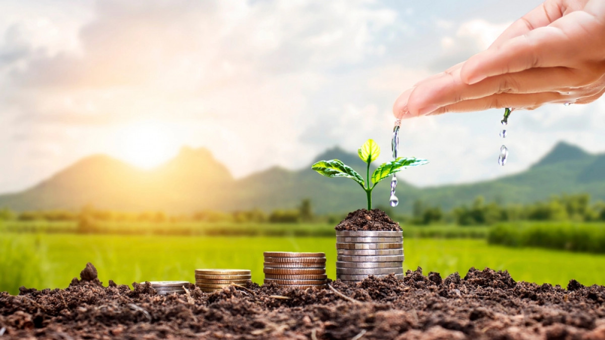 Record de cereri la AIPA, în 2022. Instituția a demarat procesul de plată către agricultori
