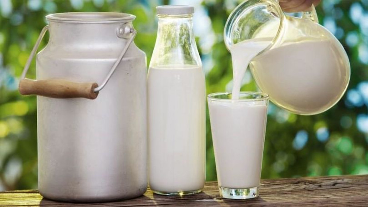 Reguli scrise de 12 ani, aplicate abia în ultimele luni: Cum funcționează (întârzie) Planul de monitorizare a calității laptelui produs în Moldova 