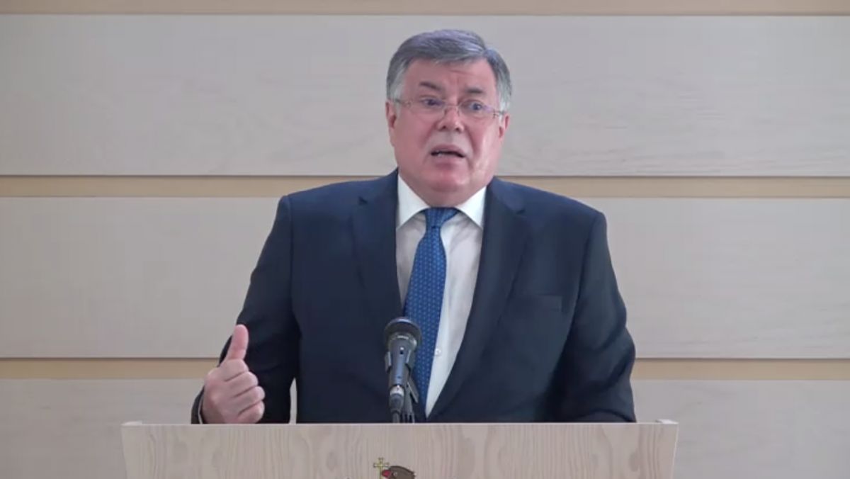 Reniță contestă decizia Comisiei politică externă de numire a trei ambasadori: Nu este niciun document juridic care reglementează votul online