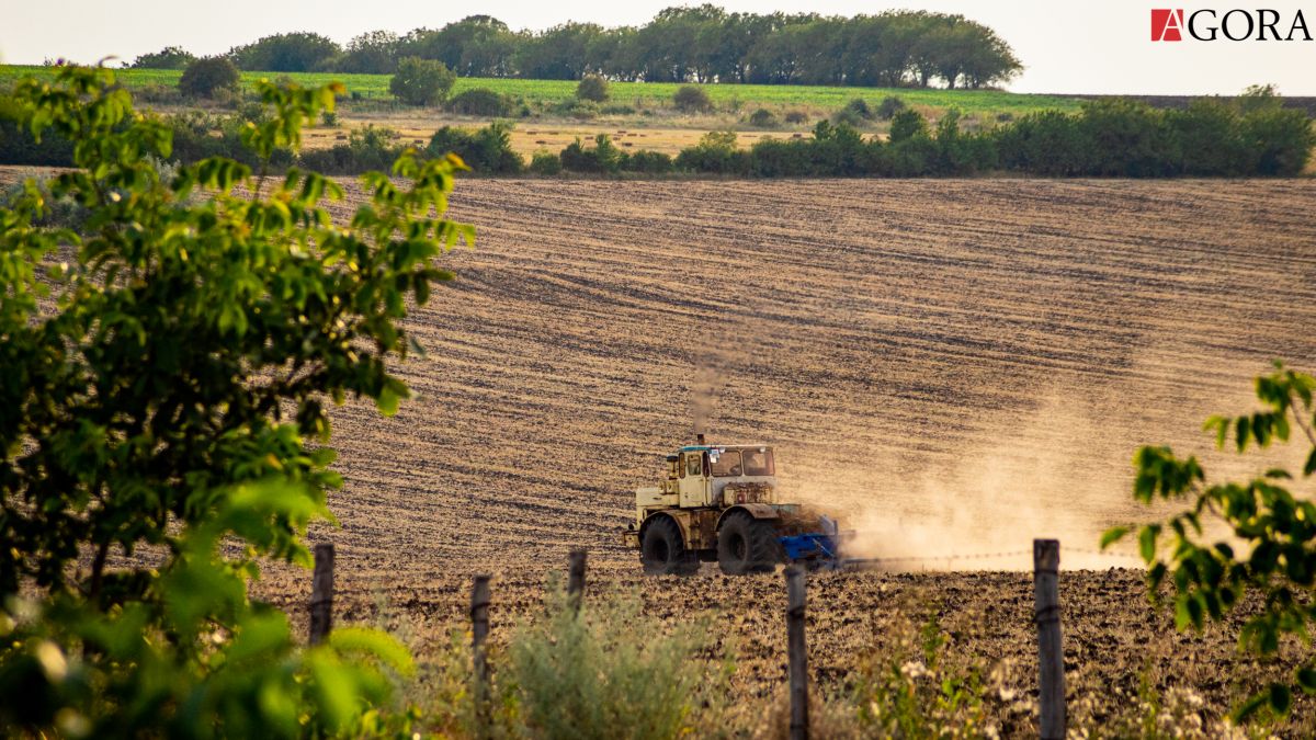 Reprezentanții domeniul agroalimentar se opun majorării cotei TVA: „Fermierii vor continua să falimenteze”