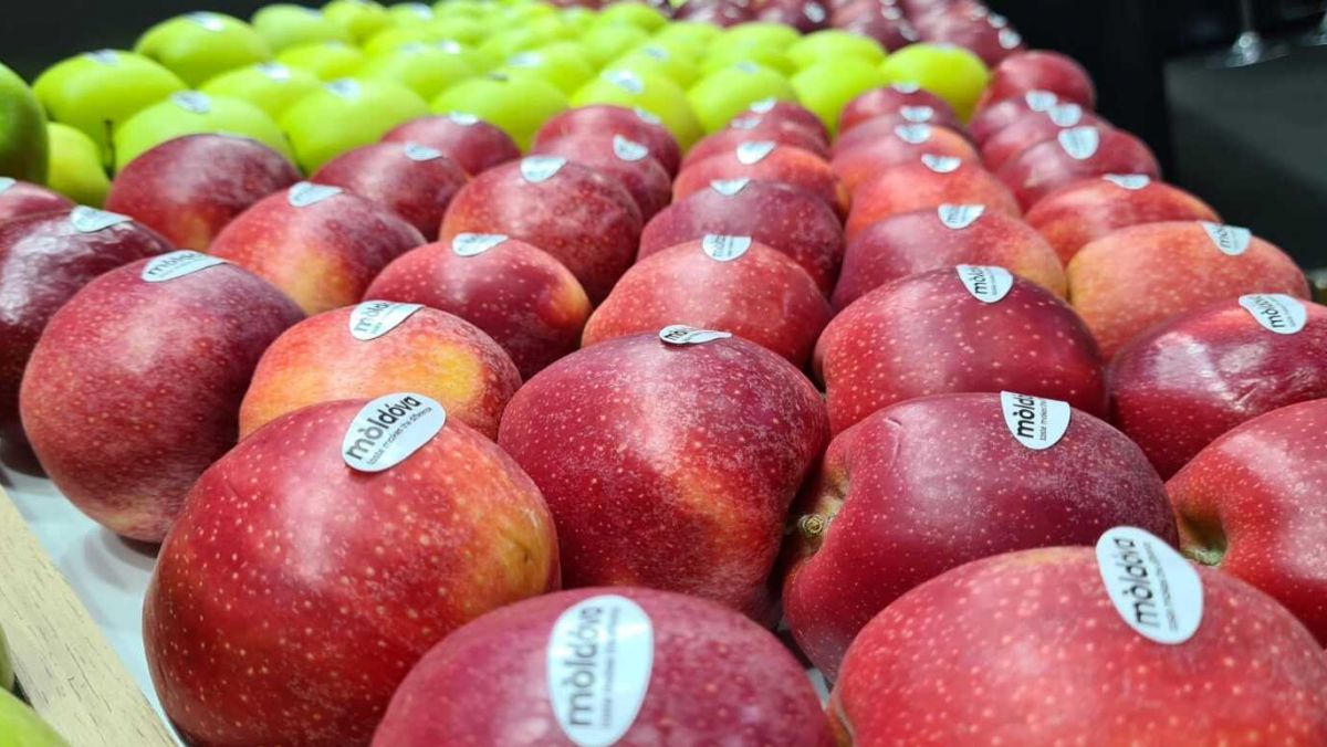 Republica Moldova este în continuare dependentă de Rusia: 99% din exporturile de mere proaspete ajung pe piața rusă