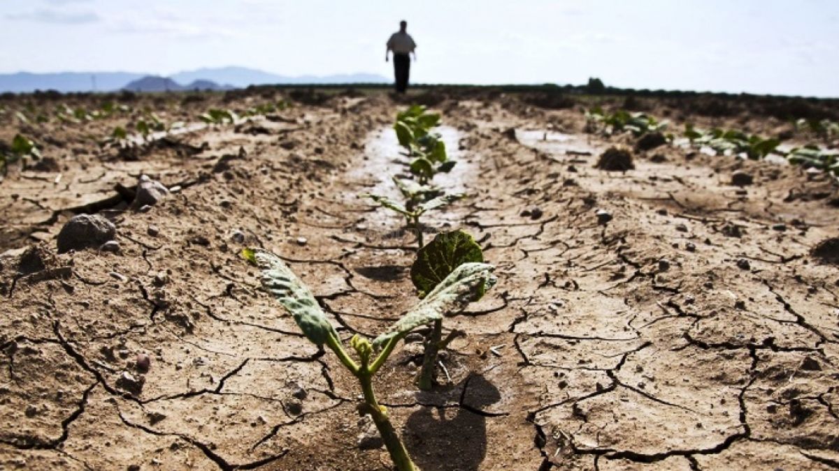 Republica Moldova este una dintre cele mai vulnerabile țări europene la schimbările climatice, arată rezultatele unui studiu al ONU