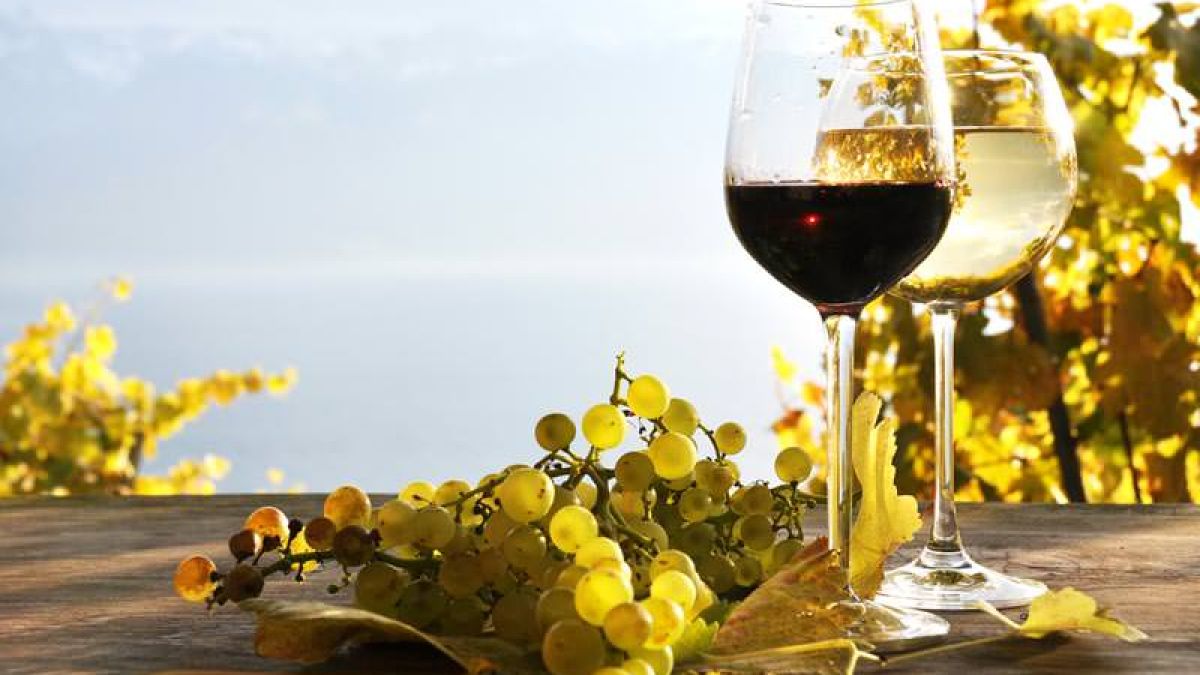 Republica Moldova și România au făcut un nou pas în promovarea comună a regiunii vitivinicole a Mării Negre