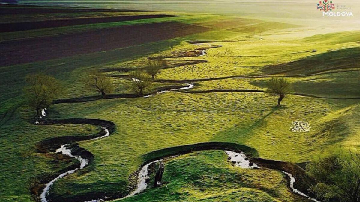 Rezervația biosferei „Prutul de Jos”, inclusă în Rețeaua UNESCO, va activa în baza unui Regulament aprobat de Guvern