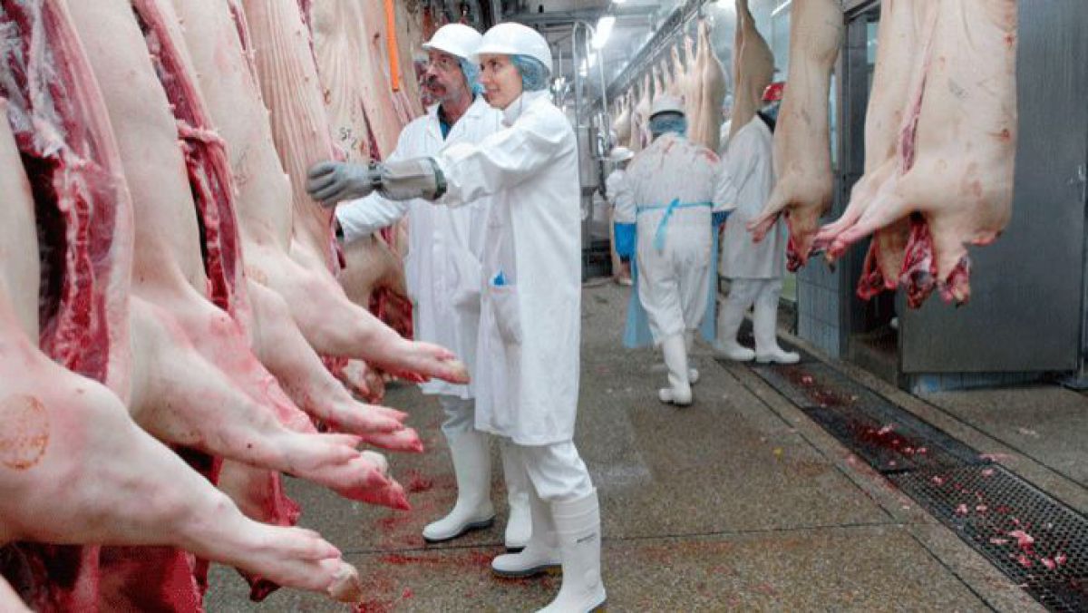 Rusia interzice temporar importul de carne de porc din Republica Moldova