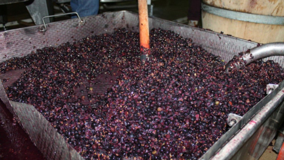 Salvatorii atenționează asupra pericolului de intoxicare în urma fermentării vinului. Metoda simplă prin care poți afla nivelul de oxigen