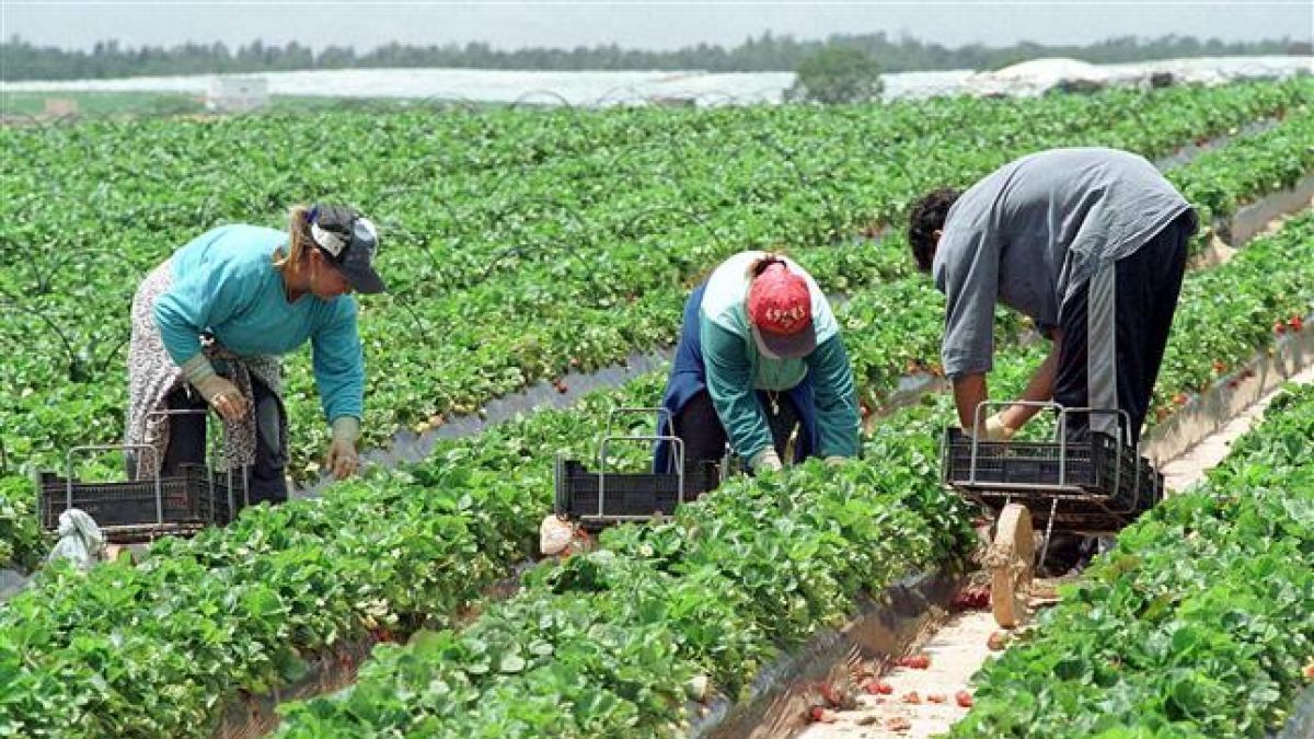 Serviciul Fiscal de Stat a extins termenul de rambursare a sumelor TVA pentru agricultori