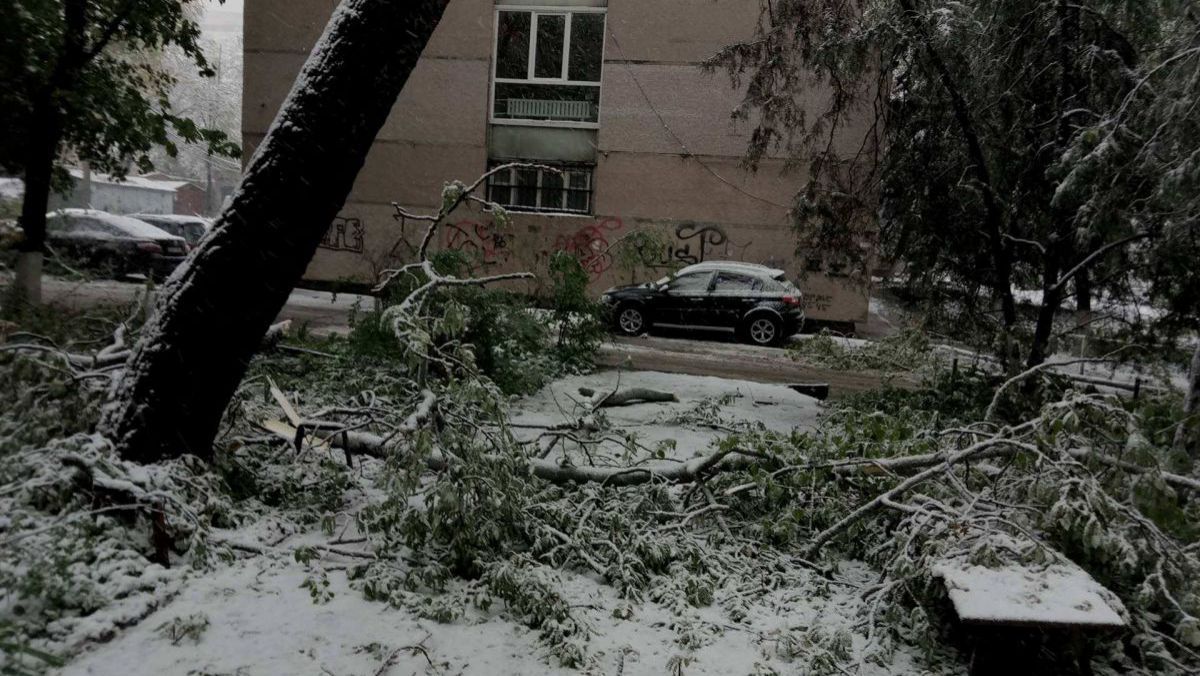 Situația în Capitală la ora 13.00: Unde sunt depozitați arborii căzuți și crengile rupte