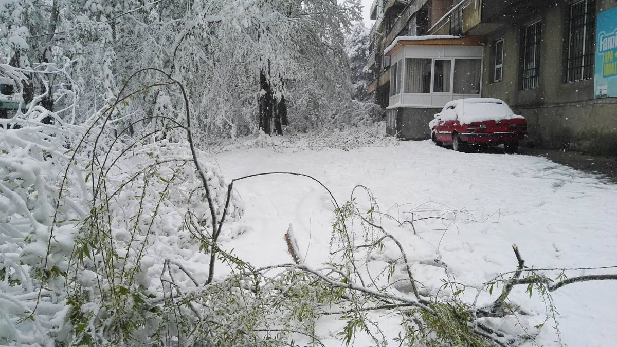 Situația la amiază în Chișinău: Au căzut 500 de arbori și crengi, iar cartiere întregi nu au curent electric