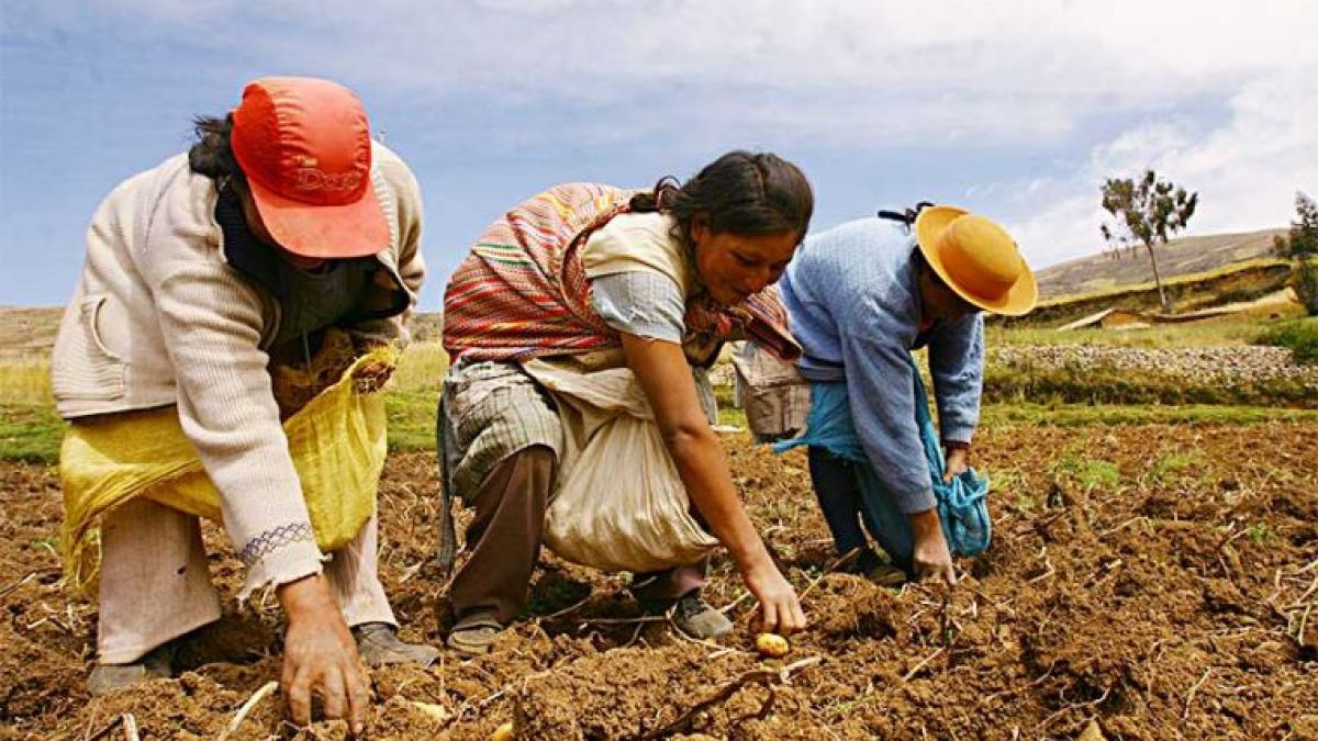 Slusari: „Cerem majorarea fondului de subvenționare până la 400 de milioane de lei și extinderea moratoriului la controale fiscale până la 30 septembrie 2021”