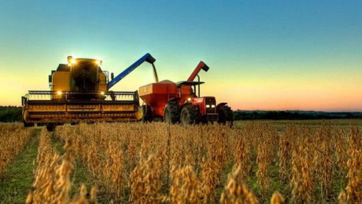 Slusari propune majorarea subvențiilor pentru agricultori, astfel încât acestea să reprezinte 3% din bugetul de stat
