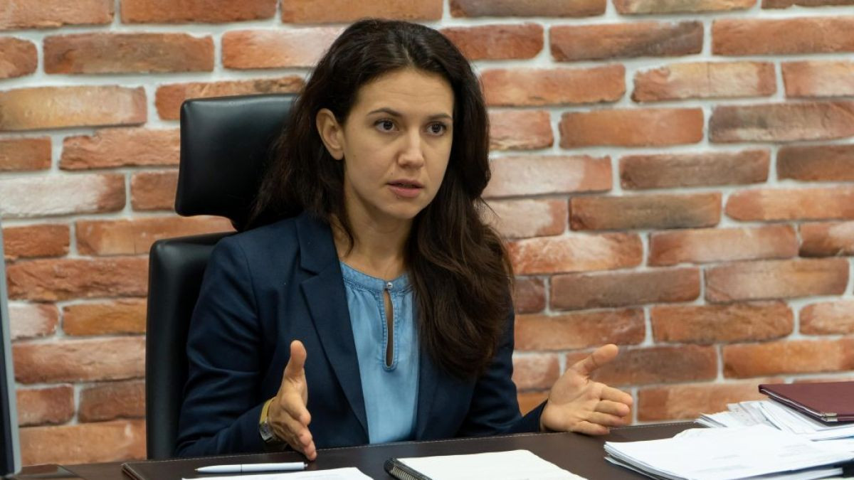 Stamate, despre ultimele decizii ale ANI în privința unor foști șefi: Controalele au început după prevederile vechi ale legii