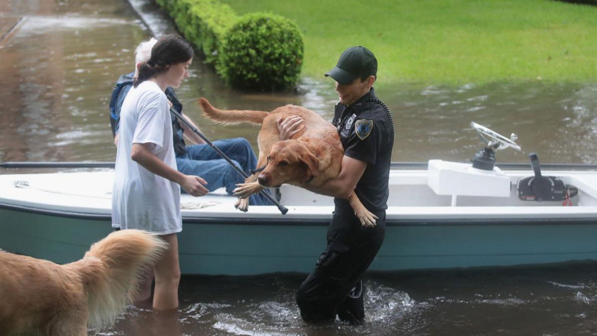 Stare de dezastru în 54 de regiuni din Texas, după uraganul Harvey