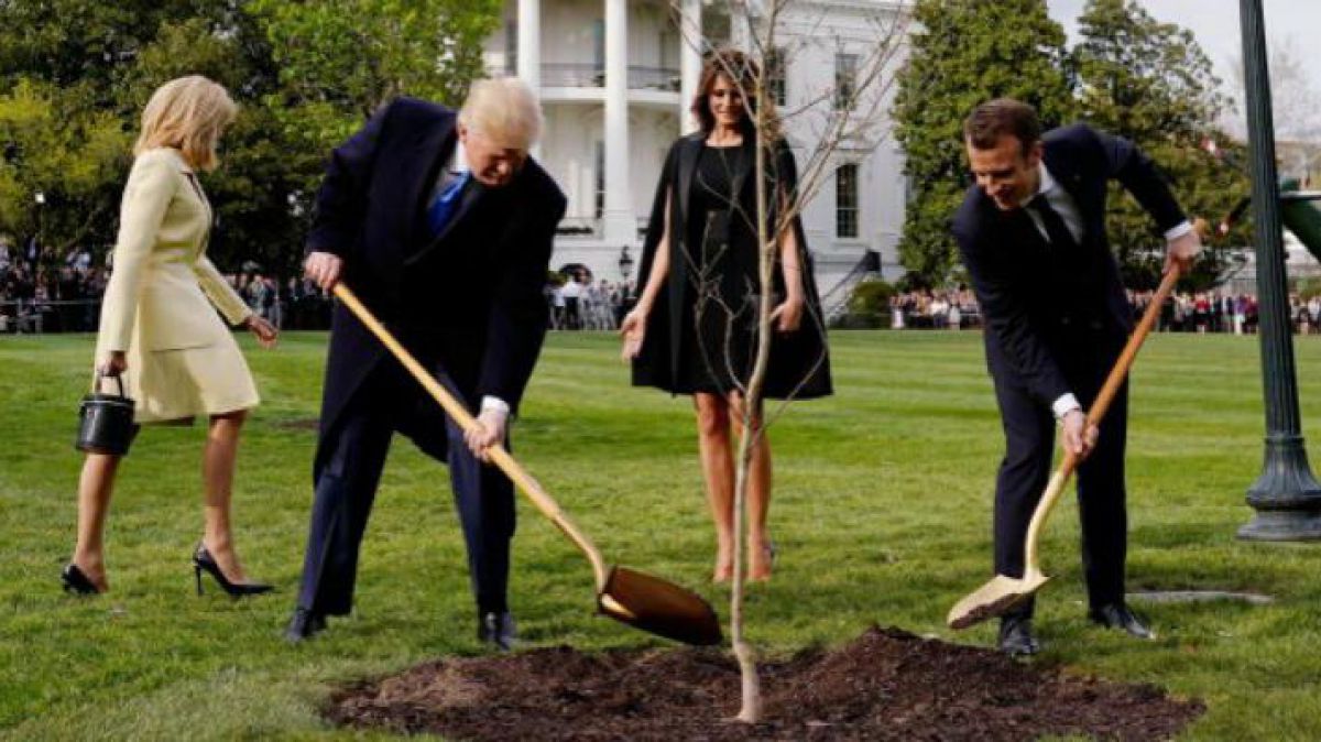 Stejarul plantat de Macron și Trump a dispărut din grădina Casei Albe
