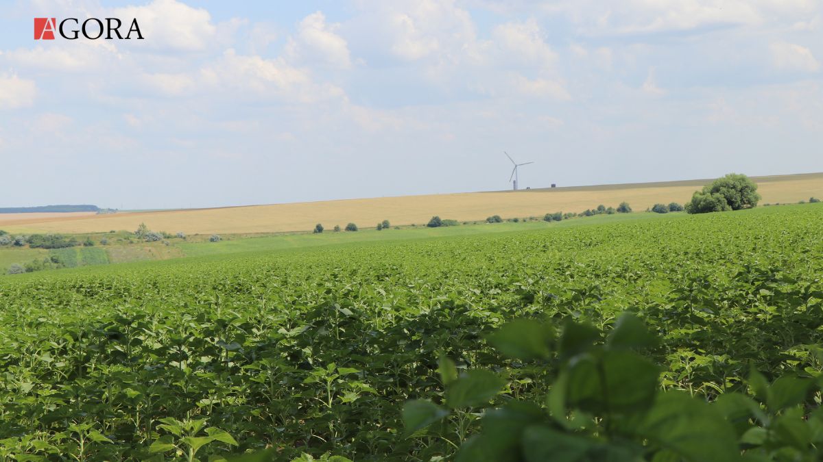 Strategia de dezvoltare regională, pentru care au fost alocate 1,3 miliarde de lei, realizată în proporție de 64%