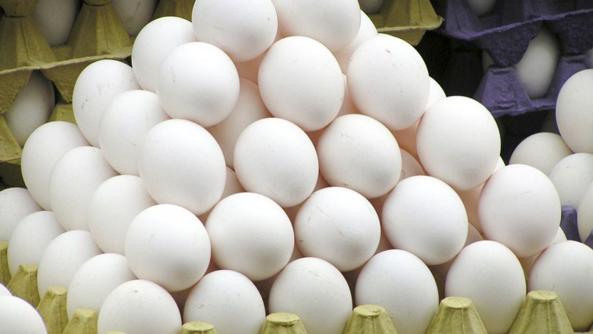 Supermarket-urile germane retrag sute de mii de ouă contaminate cu o substanță toxică