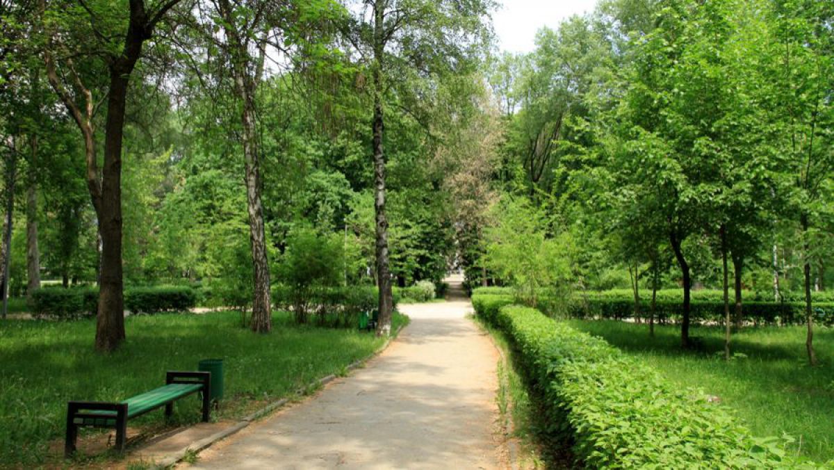 Suprafața spațiilor verzi din R. Moldova a crescut cu 1300 ha, chiar dacă au fost plantate doar 75 ha, în 2016