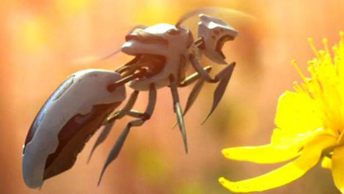 Tehnologia uimește din nou. Un gigant american a inventat albinele robotice autonome, care să polenizeze plantele