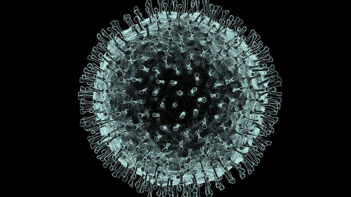 Temperatura la care noul coronavirus poate muri în doar câteva minute: Ce spun cercetătorii
