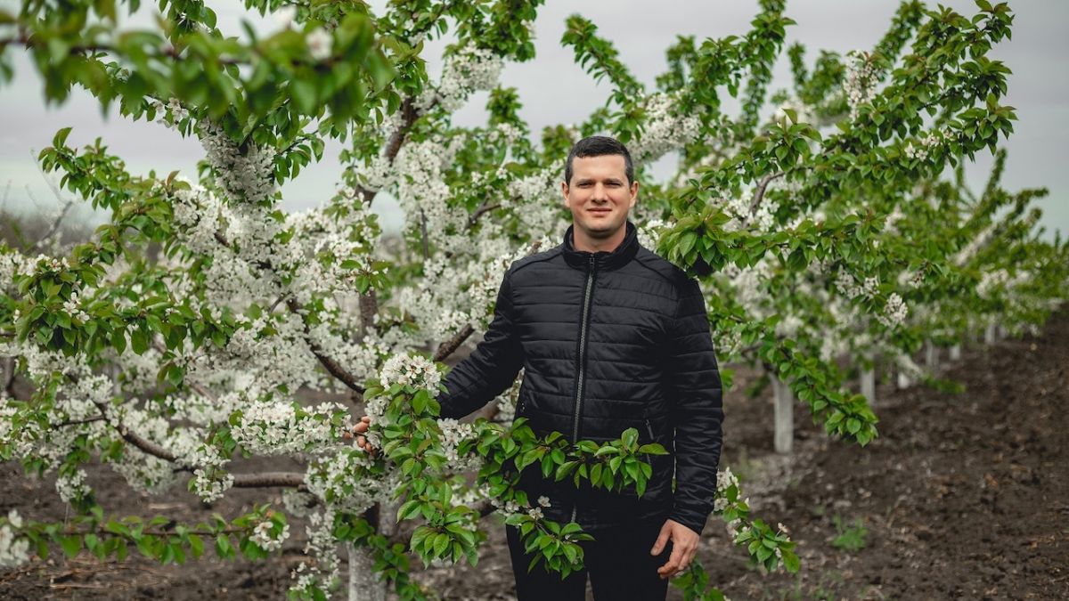 Oleg Timcu, tânăr agricultor din Glodeni: cum și-a dezvoltat o afacere pomicolă în nordul țării și ce planuri mai are (FOTO)