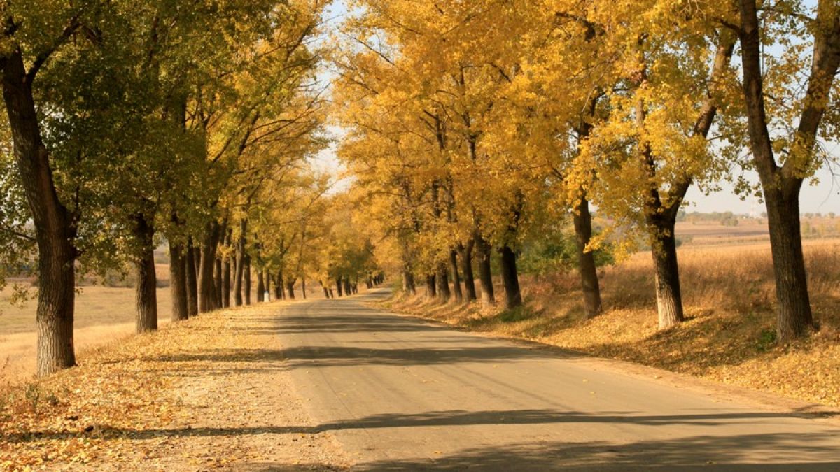 Toamnă în Moldova. Vezi cum va fi vremea astăzi și în următoarele zile