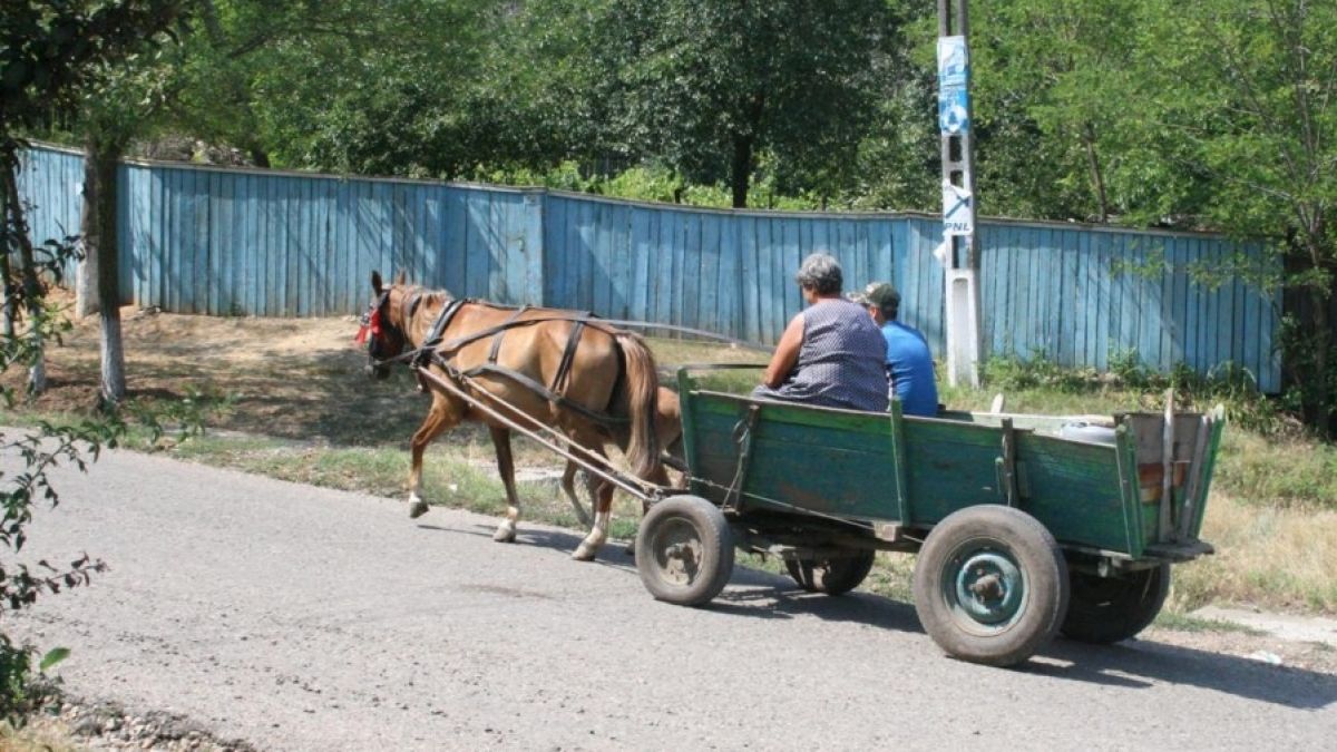 Trei măsuri noi pentru subvenționarea nivelului de trai şi de muncă la sate 
