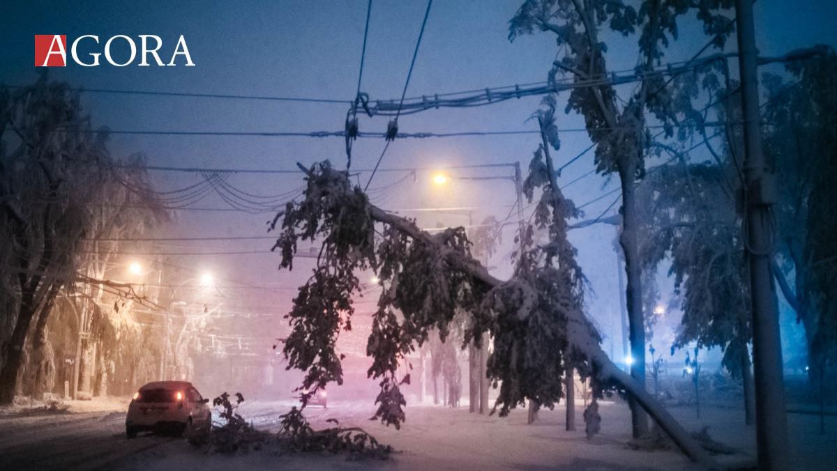 ULTIMĂ ORĂ! Încă 500 de copaci s-au prăbușit în Capitală. Chirtoacă: Toți să rămână acasă!